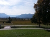 Moos Einblick