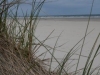 Strand2