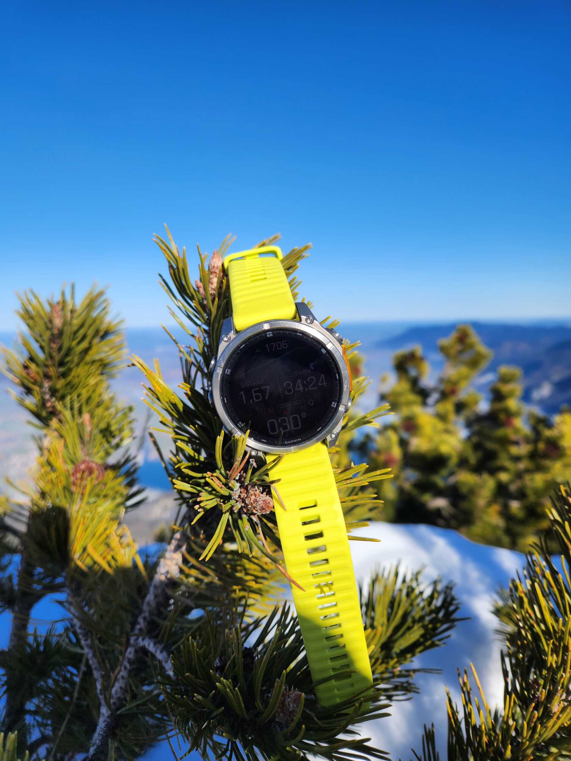 Garmin Fenix 8 mit GPS- und Höhendaten an einem verschneiten Kiefernzweig