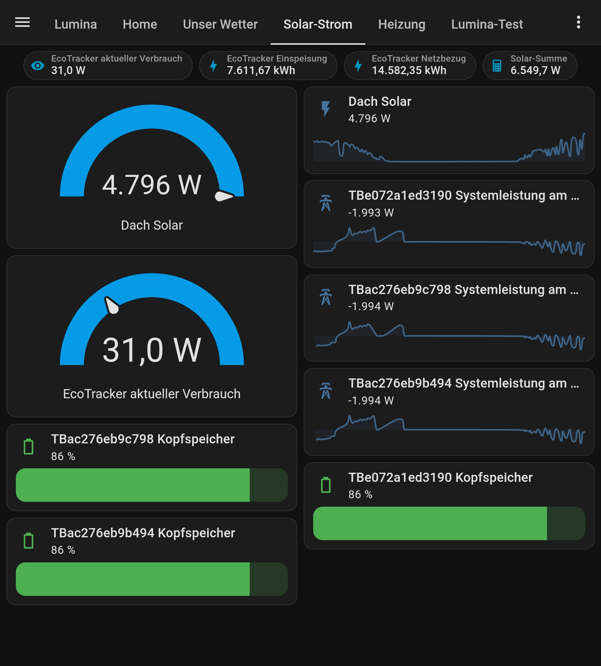 Dashboard zeigt EcoTracker-Verbrauch von 31 W, Ladeleistung liegt noch bei -1993 W