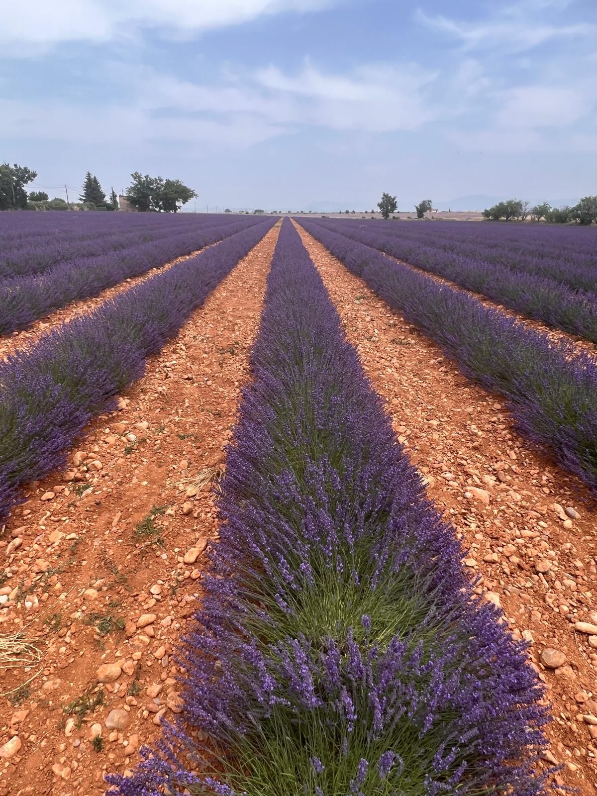 Provence
